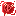 Daily Stamp (DS)